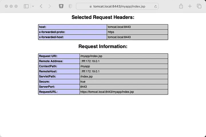 Tomcat HTTP request with configuration
